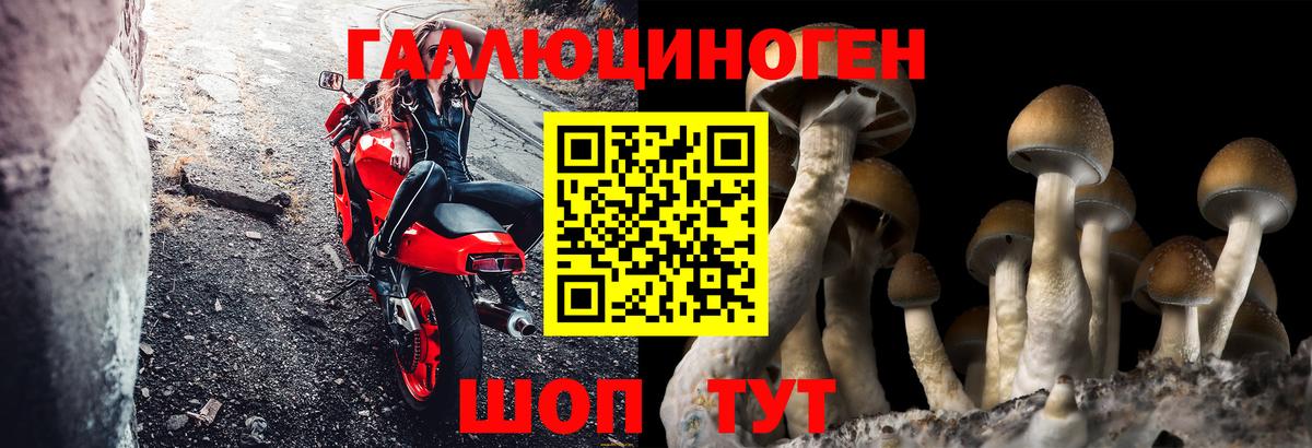 Псилоцибиновые грибы мухоморы Ессентуки